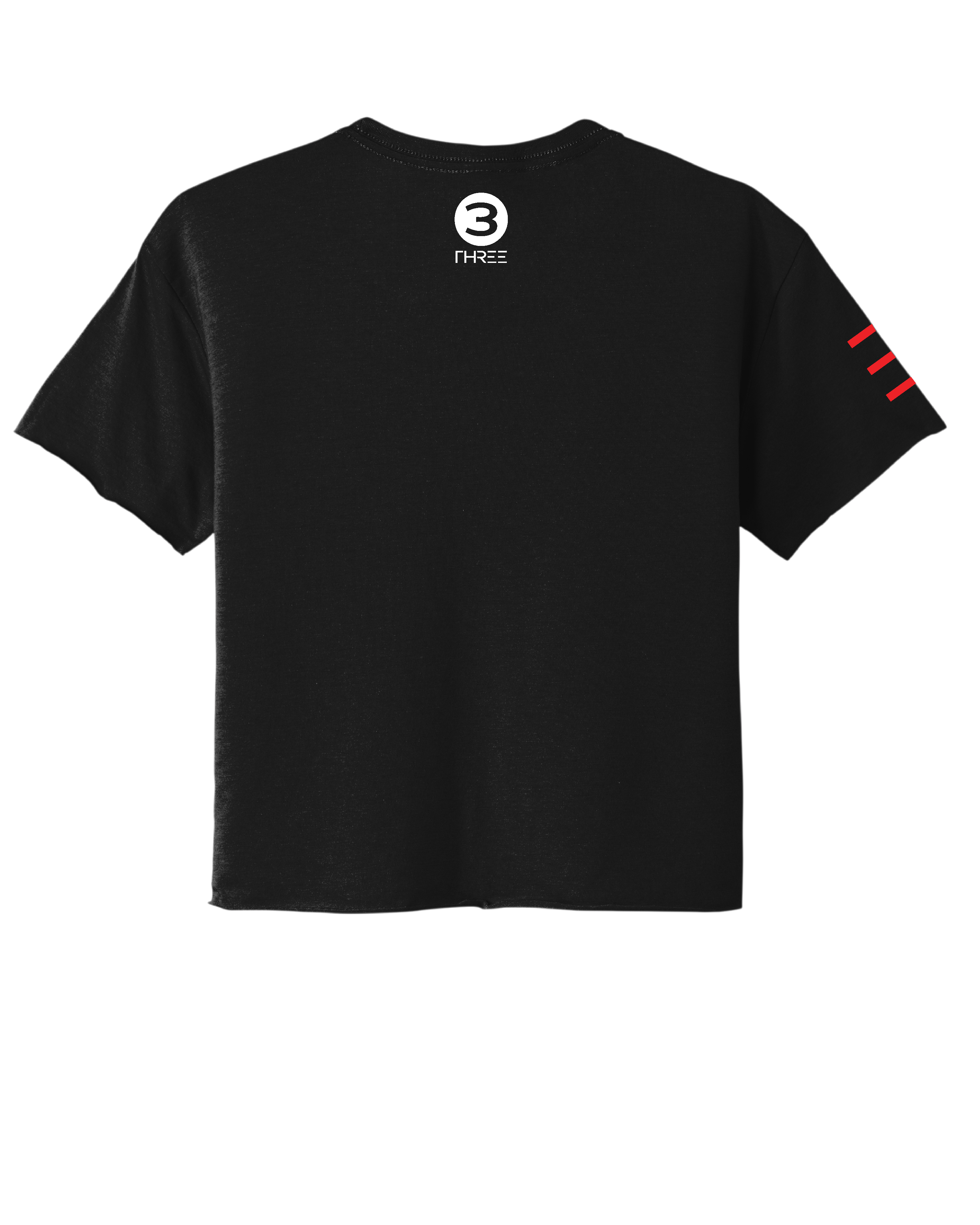 Classic Jiu-Jitsu Premium Women's Crop Top - 3Three Apparel LLC.